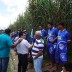 Campeonato no povoado Cangandu (31-08-2014)